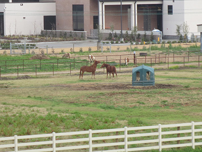 School of agriculture